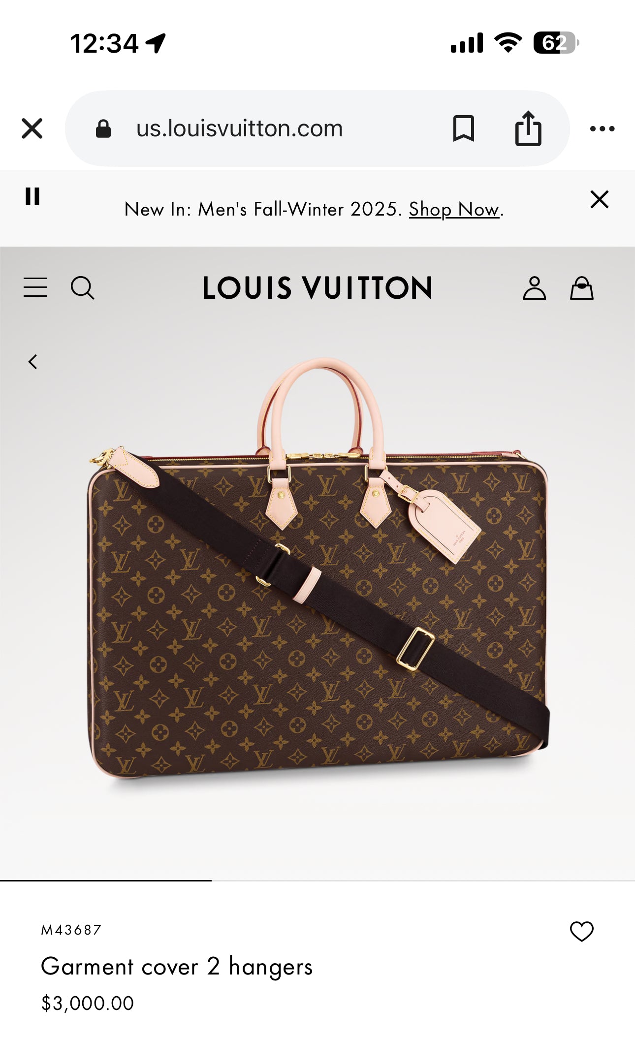 Louis Vuitton garment bag
