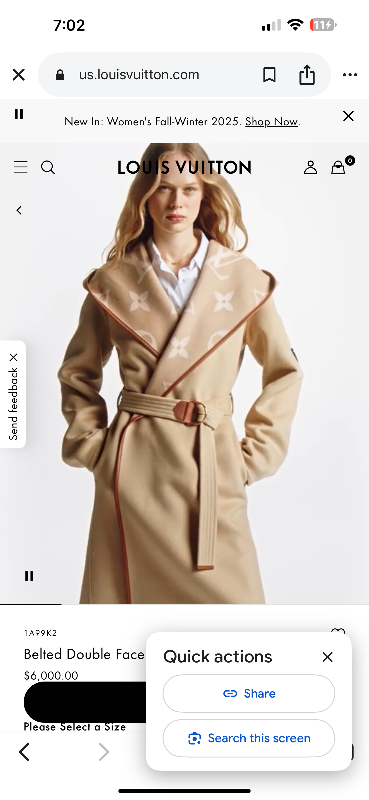 Louis Vuitton coat, 36